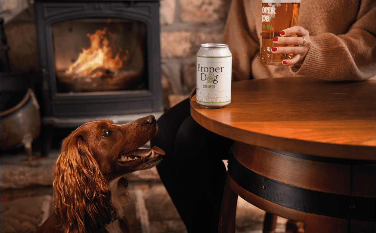 Dog looking at dog beer can